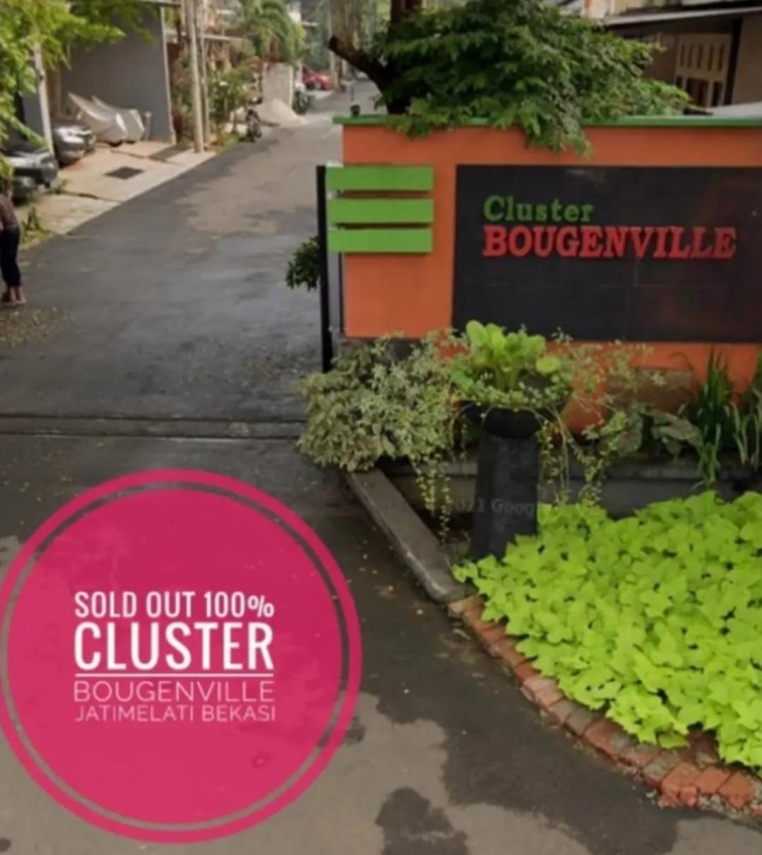Cluster Bougenville